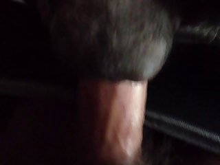Attila Animal Sex
