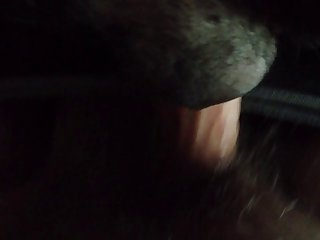 Attila Animal Sex