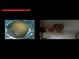 Telegram Zoo Porn Group
