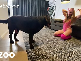 Dog Porn Cream Pie