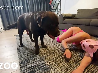 Dog Porn Cream Pie