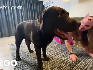 Dog Porn Cream Pie