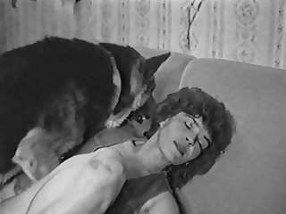 Animal Sex Germany