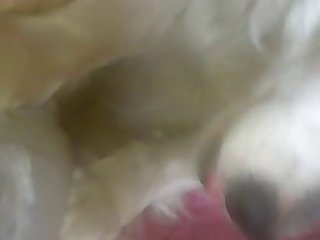 Video De Sexo De Colegialas