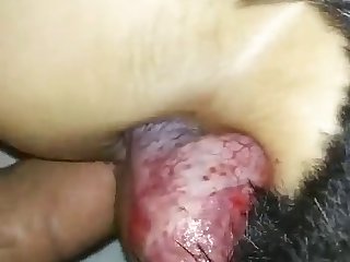 Horse Cum In Face