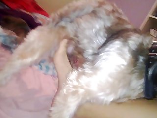 Chick Rides Dog Cock