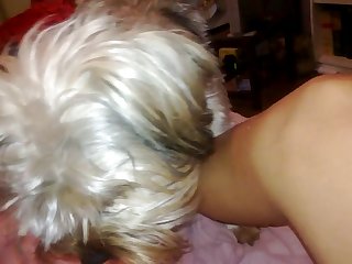 Chick Rides Dog Cock