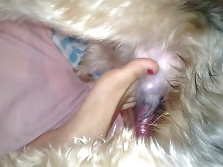 Chick Rides Dog Cock