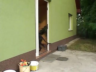Dog Sex Video