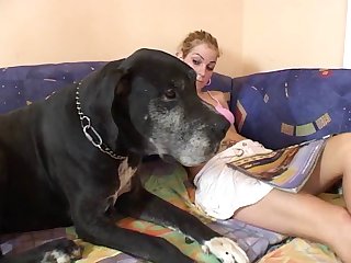 Porno Zoofilia
