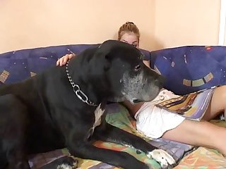 Porno Zoofilia