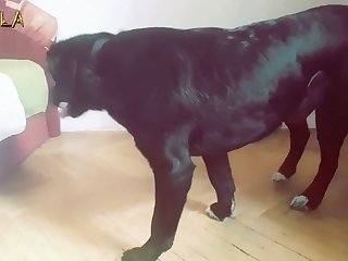 Xxx Video Porn Nigeria