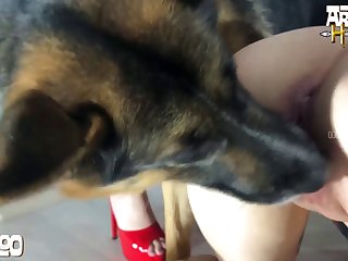 سكس كرتون حيوانات