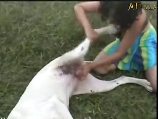 Horse And Girl Sex