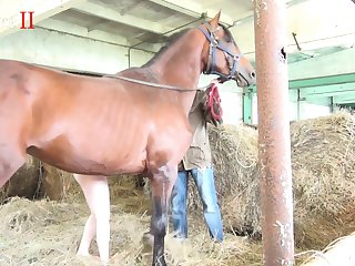 I Heard You She Said To Her Favorite Horse And I