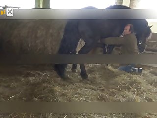 Amateur Caballo porn Casting 2