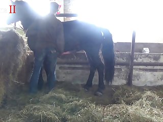 The Horse's Cock Was Already Incredibly Long And Con
