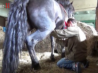 The Horse's Cock Was Already Incredibly Long And Con
