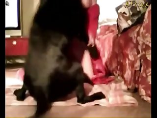 Amateur Dog Free Fucks Woman Show Cam  3