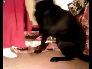 Amateur Dog Free Fucks Woman Show Cam  3