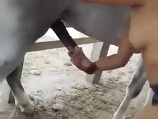 Real Horse Cum Porn - Mexican Wife Jerking Horse Cock