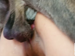 To Use Her Term Ass Licking
