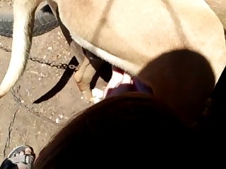 Fullporner Com