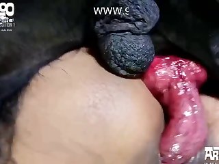 Huge Tits Cam