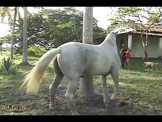 Horsie Handjob