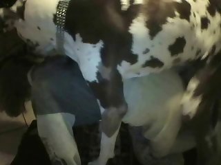 Lovelillyy