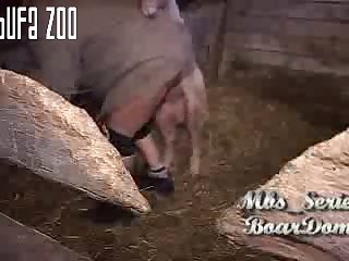 Massive Anal Insertion